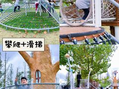 -前小桔亲子创意农场·草莓采摘·露营烧烤