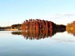 -上海海湾国家森林公园