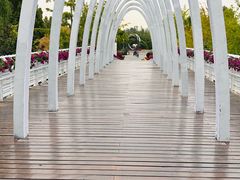 -大兴滨河森林公园