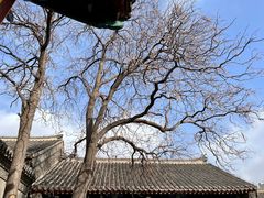 -张学良旧居陈列馆