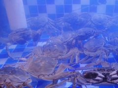 -龙虾当家·大排档(红谷滩五中店)