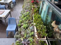 -野菌皇海景野生菌火锅(滨海大道店)