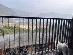 -芳草地度假酒店·野炉中餐厅