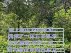 -老山国家森林公园