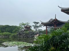 -顺峰山公园