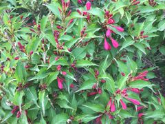 -永定河休闲森林公园