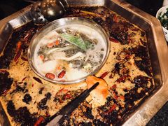 -陈眼镜火锅(总店)