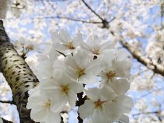 -永乐路-路侧停车场