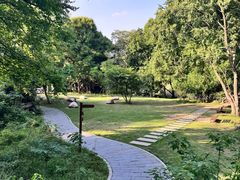 -青龙山国家森林公园