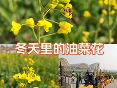 -中国天府农业博览园