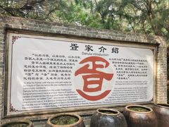 -北海金海湾红树林生态旅游区