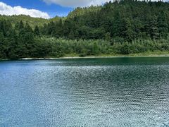 -武陵山森林公园