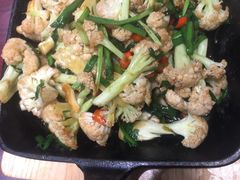 -邵年鸽(杨庄店)