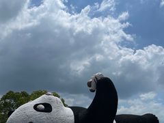 -苏州太湖国家湿地公园