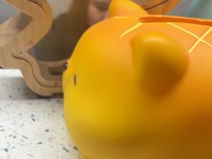 -半岛宠物医院24小时(白果林店)