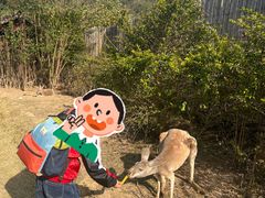 -泉州海丝野生动物世界