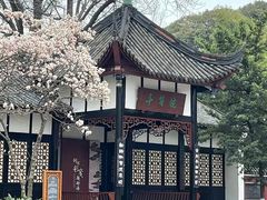 -望江楼公园