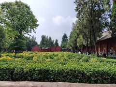 -洛阳白马寺