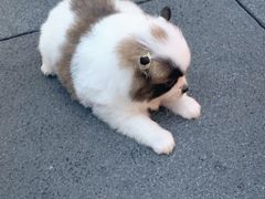 -春熙路步行街