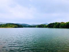 -佛手湖郊野公园
