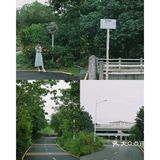 马峦北路.深圳又一条小众的日系片公路！