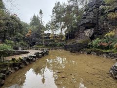 -梭布垭石林景区