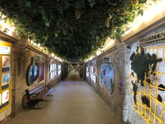 -青岛葡萄酒博物馆