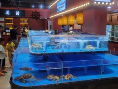 -张家卫·阳江菜·小海鲜(肥婆湾桥店)