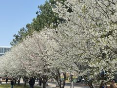 -同济大学(嘉定校区)