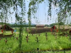 -长兴太湖图影湿地文化园