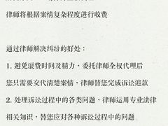 -上海领胜律师团队·法律咨询