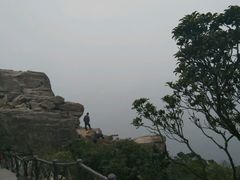 石头和树-银瓶嘴森林公园