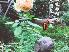 -天怡·鱼工厂(临江店)