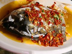 -印象鲵宴·张家界地标美食名片(溪布街店)