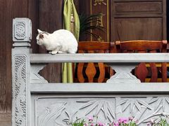 -龙姐私房菜(和顺古镇店)