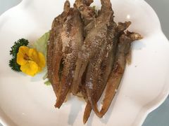 -张生记(丁香国际店)