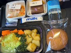 -新加坡航空公司(ION)