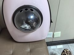 -半岛宠物医院24小时·内窥镜·牙科·碎石中心(府城大道店)