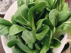 -花菇朵·云山雀 ll 野生菌锅·野果酸汤·精品滇菜(万柳店)