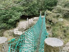 -大奇山国家森林公园