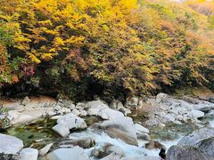 -光雾山旅游景区
