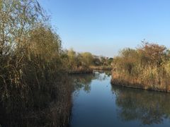-梁鸿国家湿地公园