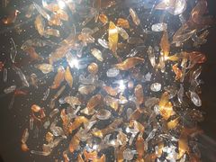 -东海朗廷酒店-唐阁T’ANG COURT 中餐厅