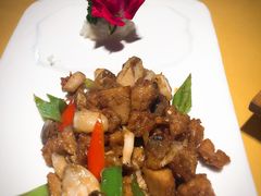 -素虎小呆鸟(西二旗店)