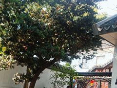 -莹珠阁·私房菜