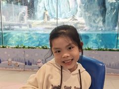 -帝企鹅自助餐厅•儿童岛•真企鹅(长隆企鹅酒店)