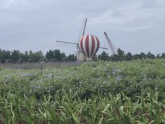 -荷兰花海
