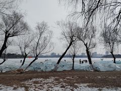 -长春市南湖公园