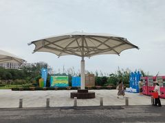 -碧海金沙