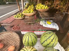 -铁山坪森林公园